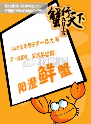 pop海报广告模板 海报