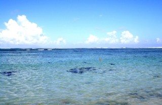 毛里求斯 心旷神怡的海景图片
