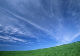 天空 大地 蓝天 白云 草地