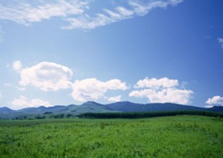 天空 大地 藍天 白雲 草地