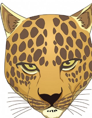 豹头服装图案图片-图行天下图库